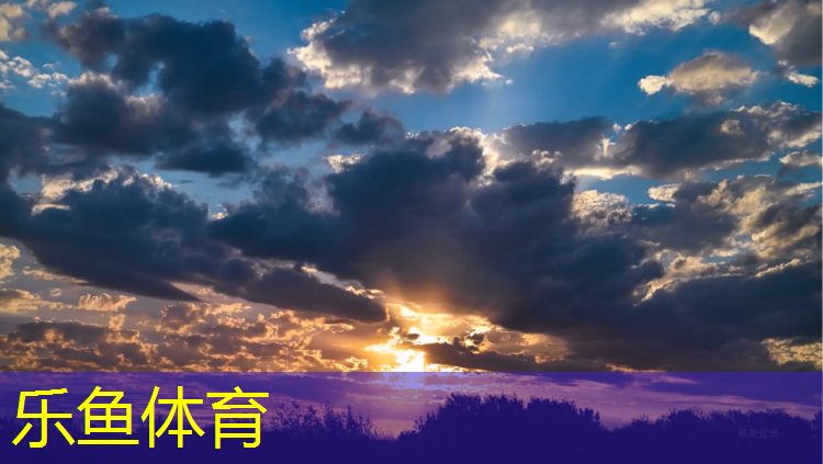 乐鱼体育,众渤塑胶跑道咨询