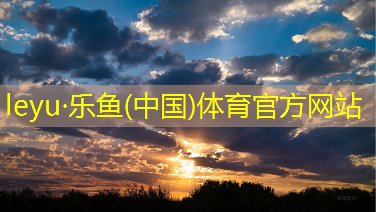 塑胶跑道权威检测机构南京