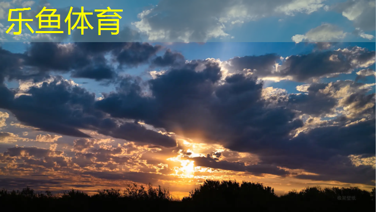 家用标准室外乒乓球台